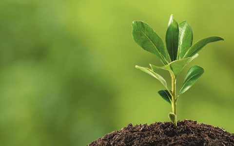 Shravaka.ch Eco-friendly
